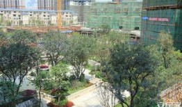 惠州东平海伦湾最新爆料,新爆料揭示未来宜居胜地新篇章